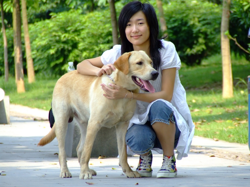风中的绿叶的第一张照片--金华相亲服务中心