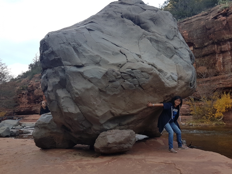 Apple的第一张照片--金华相亲服务中心