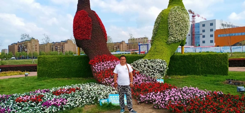 尘埃的第一张照片--金华相亲服务中心