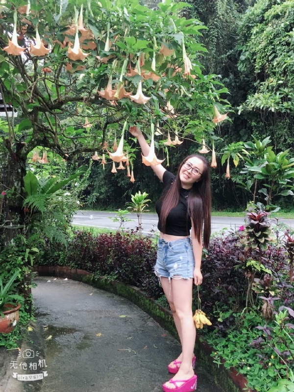 离异单身无子的第二张照片--金华相亲服务中心