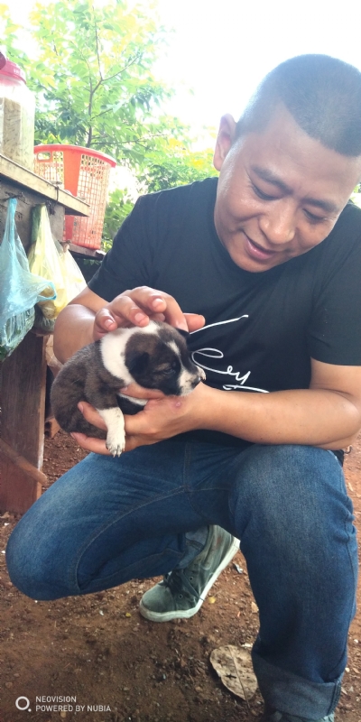 深圳相亲的第一张照片--金华相亲服务中心