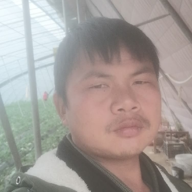 孤狼‘的第一张照片--金华相亲服务中心