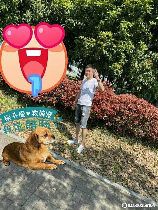 我若不坚强谁替我勇敢的第一张照片--金华相亲服务中心