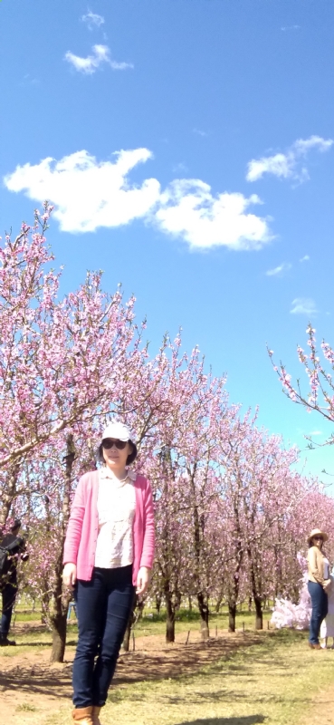 Grace的第二张照片--金华相亲服务中心