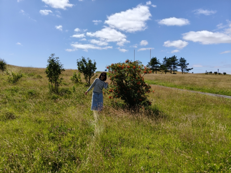 秋蝉的第一张照片--金华相亲服务中心