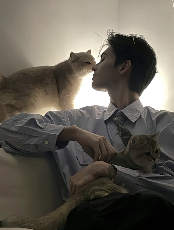 怪猫的第一张照片--金华相亲服务中心