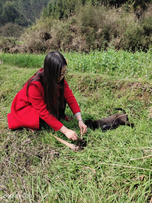 下一个春和秋的第一张照片--金华相亲服务中心