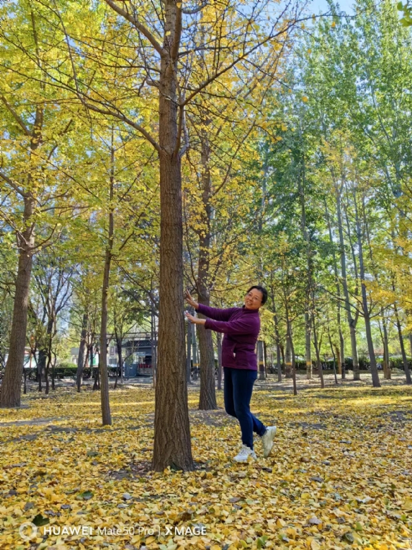 Shirley的第三张照片--金华相亲服务中心