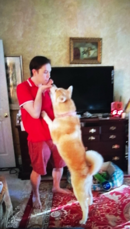 Leluch的第一张照片--金华相亲服务中心