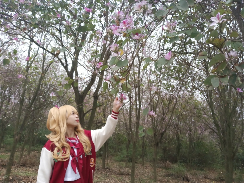 暮秋的第二张照片--金华相亲服务中心