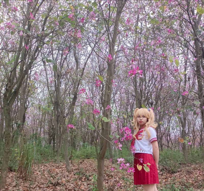 暮秋的第四张照片--金华相亲服务中心