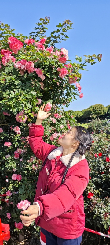 狗狗的第一张照片--金华相亲服务中心