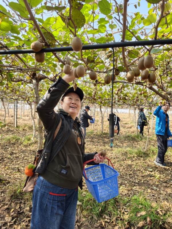 夜莺的第三张照片--金华相亲服务中心